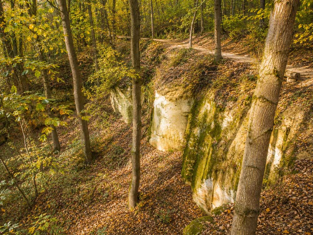 Spazierweg am Doggersandstein-Felsen am Schwammerling – Geotop des Bayerischen Landesamts für Umwelt