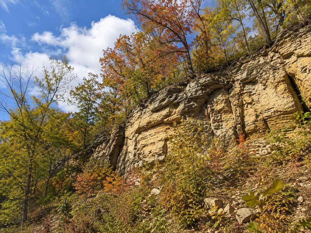 Doggersandstein-Felsen am Schwammerling – Geotop des Bayerischen Landesamts für Umwelt