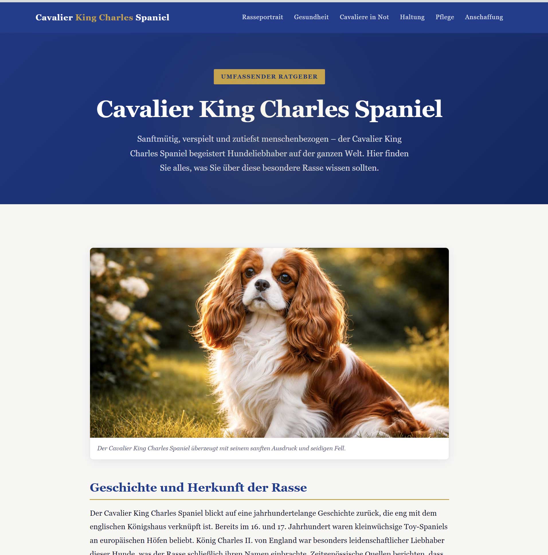 Cavalier King Charles Spaniel auf einer Wiese mit seidigem Fell und sanftem Ausdruck