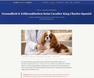 Gesundheit und typische Erbkrankheiten beim Cavalier King Charles Spaniel