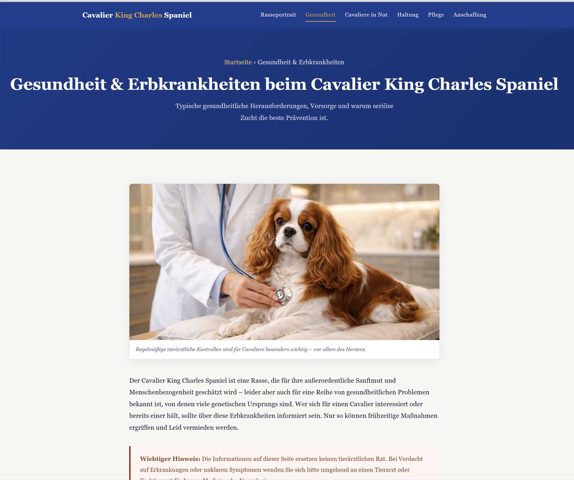Tierarzt untersucht Cavalier