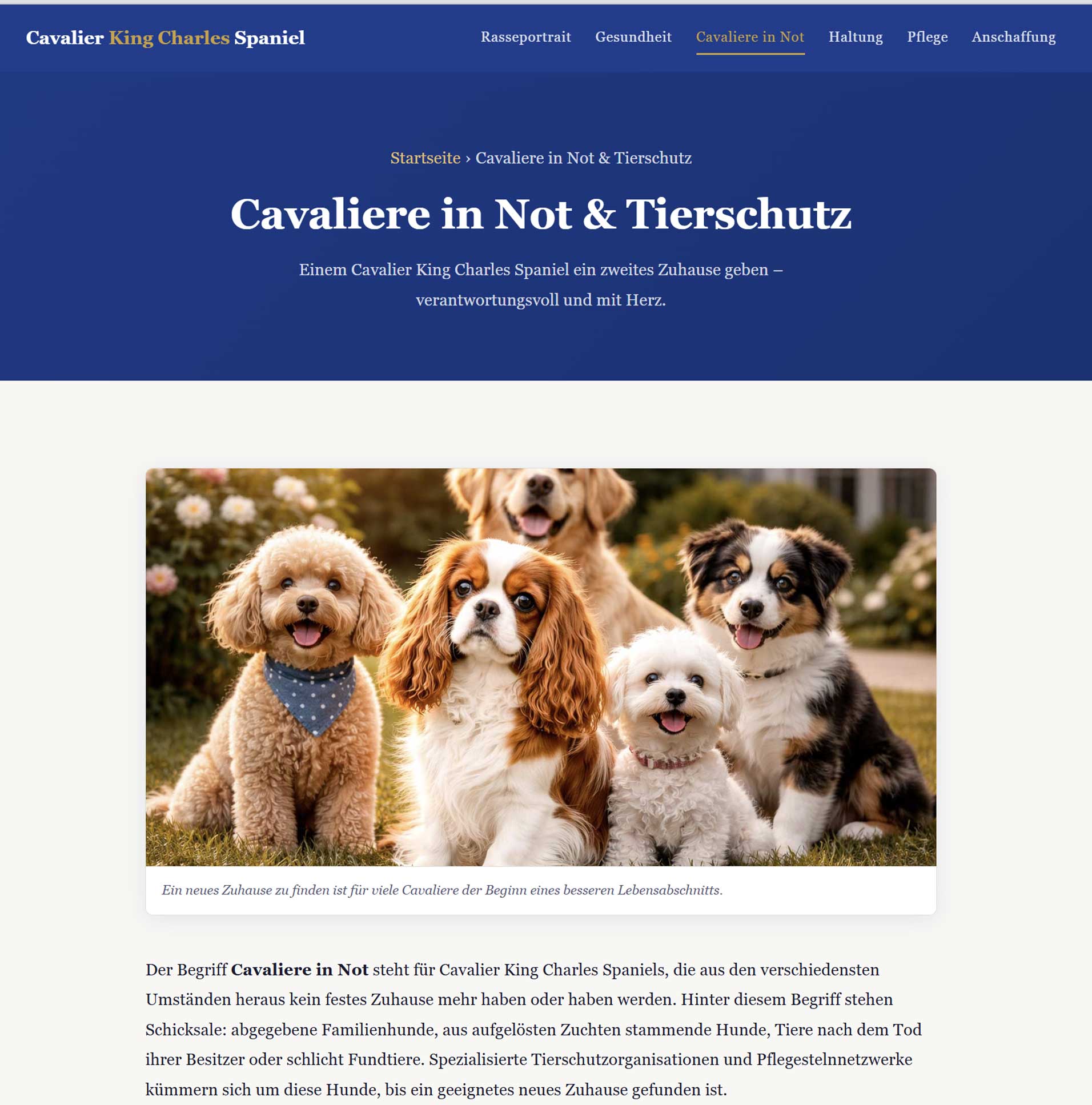 Cavalier mit anderen Hunderassen
