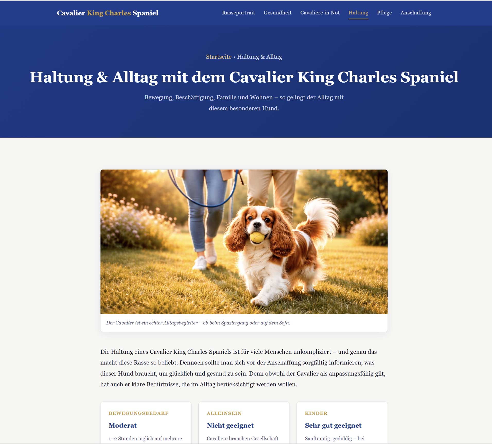 Cavalier spielt mit Ball auf Wiese