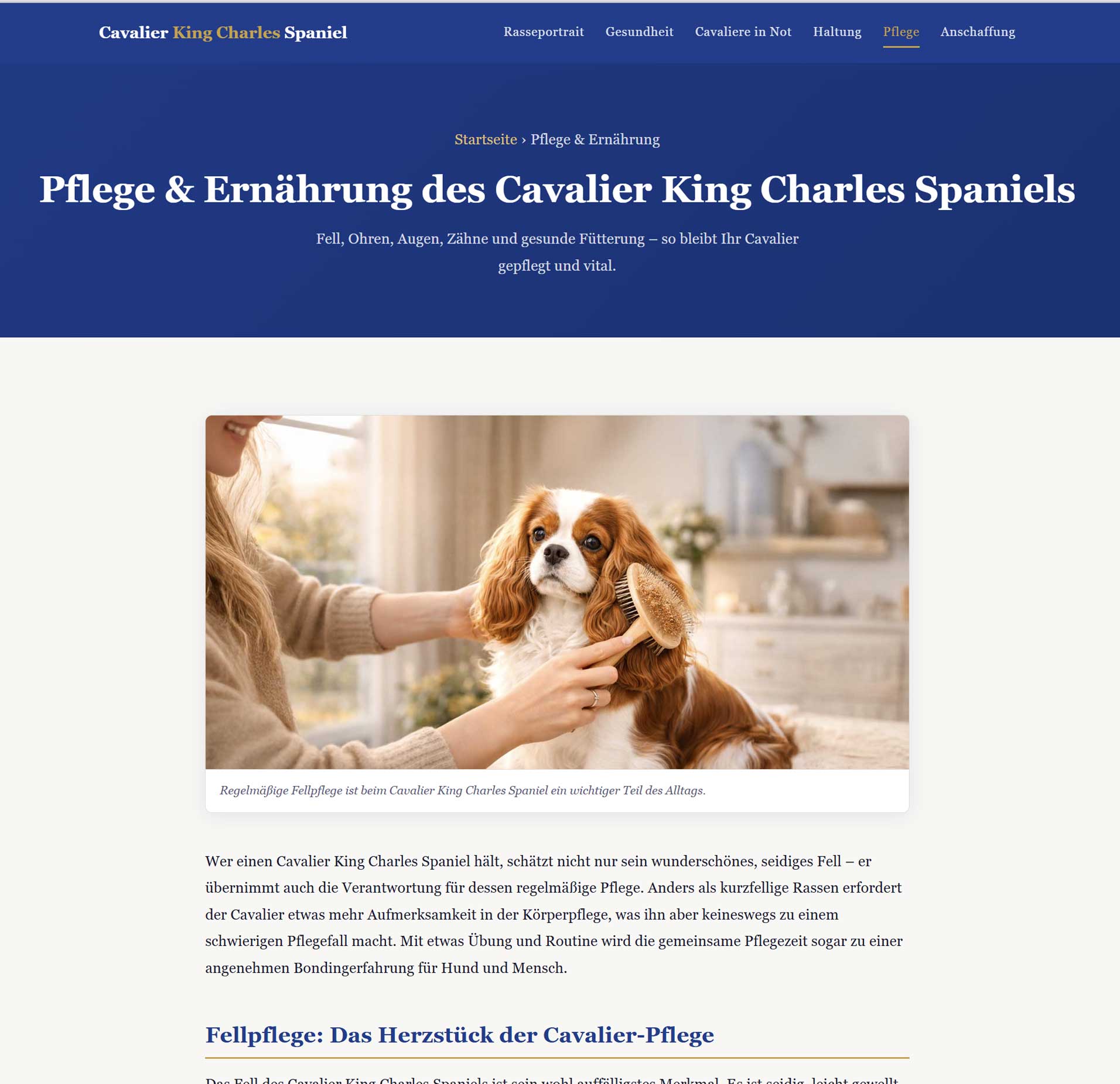 Fellpflege beim Cavalier