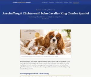 Anschaffung und Züchterwahl beim Cavalier King Charles Spaniel – seriöse Züchter erkennen