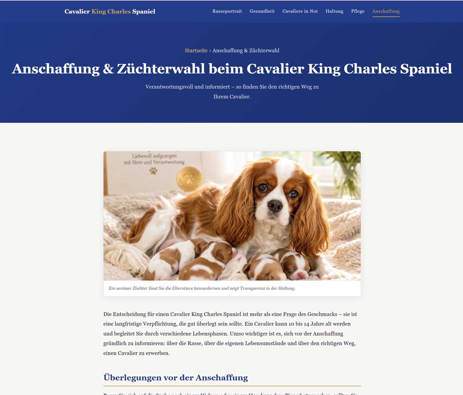 Cavalier Mutter mit Welpen