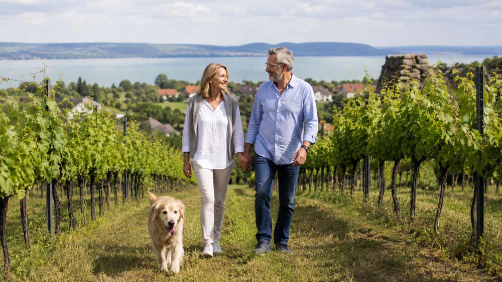 Ehepaar mit Hund in den Weinbergen am Balaton Ehepaar mit Hund spaziert durch die Weinberge am Balaton in Ungarn, mit Blick auf den See und die Hügellandschaft im Hintergrund.
